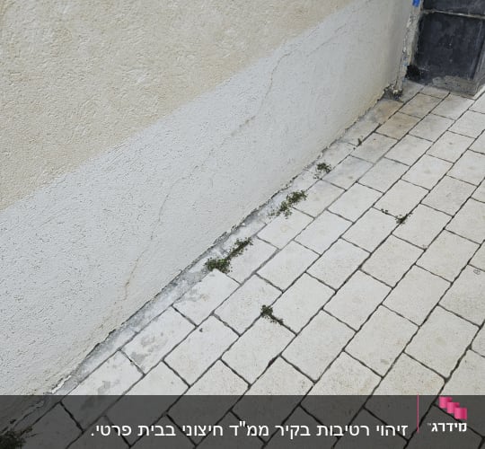 קיר עם סדקים ורצפת אריחים עם עשבים